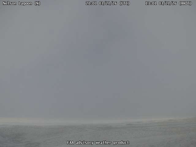 Nelson Lagoon — North live webcam