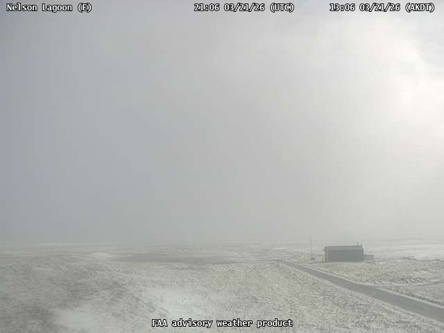 Nelson Lagoon — East live webcam