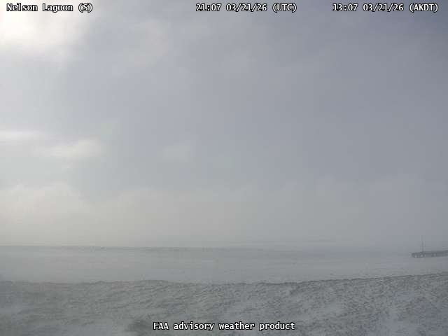 Nelson Lagoon — South live webcam