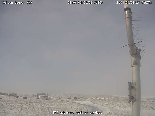 Nelson Lagoon — West live webcam
