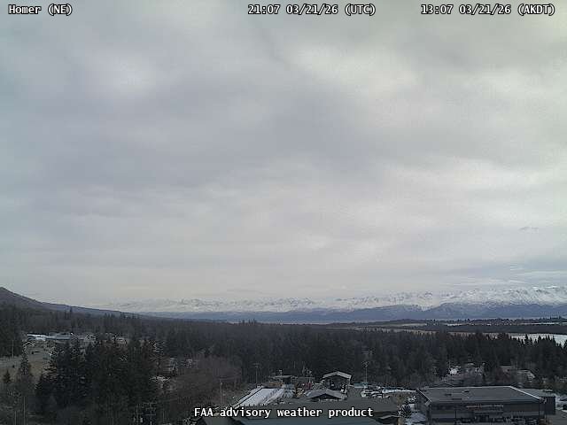 Homer — NorthEast live webcam