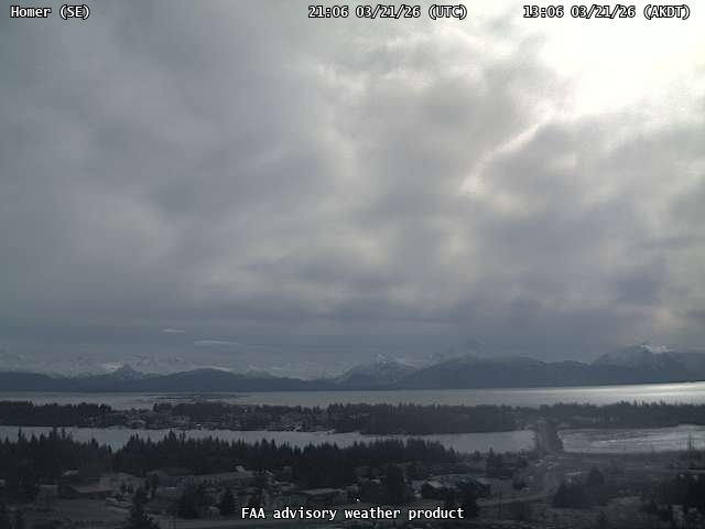 Homer — SouthEast live webcam