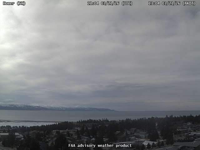 Homer — SouthWest live webcam