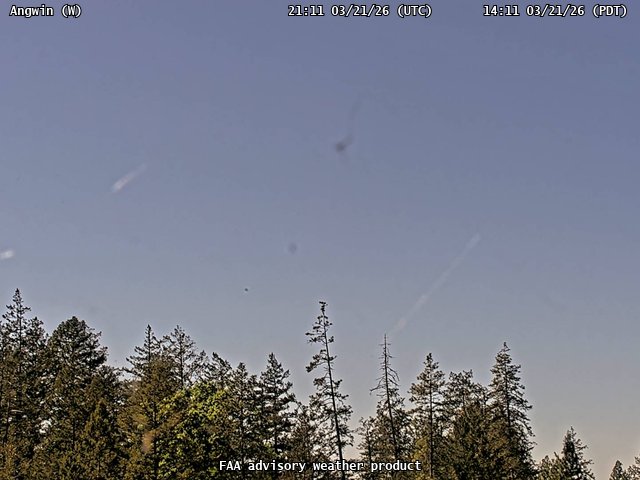Angwin — West live webcam
