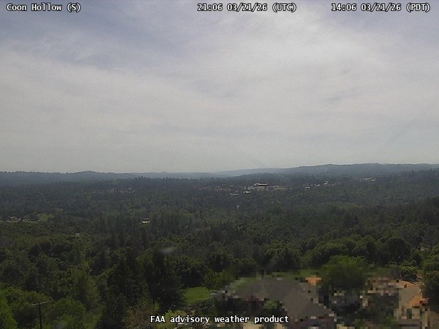 Coon Hollow — South live webcam