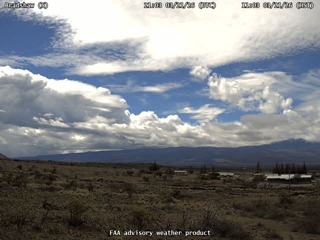 Bradshaw — South live webcam