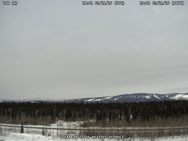 Tok — North live webcam