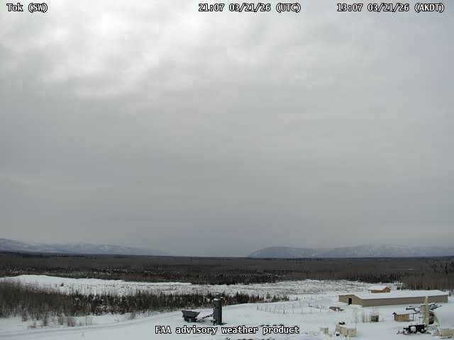 Tok — SouthWest live webcam