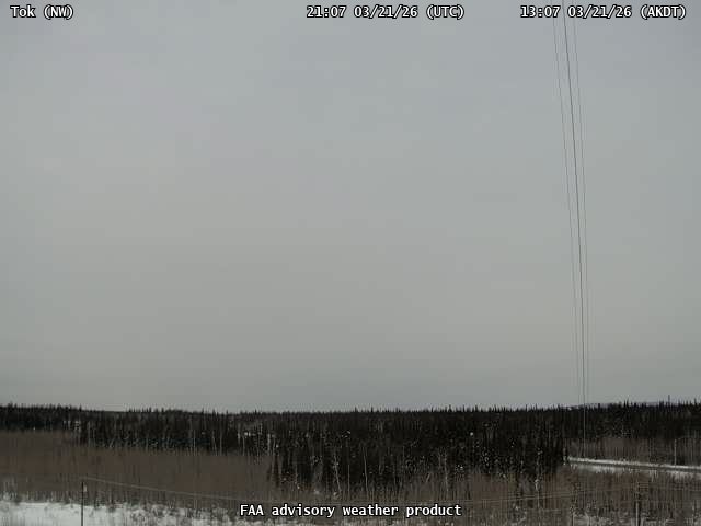 Tok — NorthWest live webcam