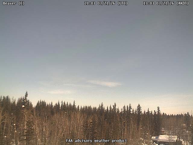 Beaver — East live webcam