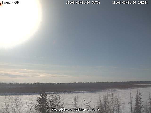 Beaver — South live webcam