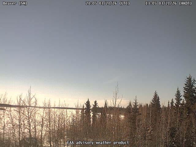 Beaver — SouthWest live webcam