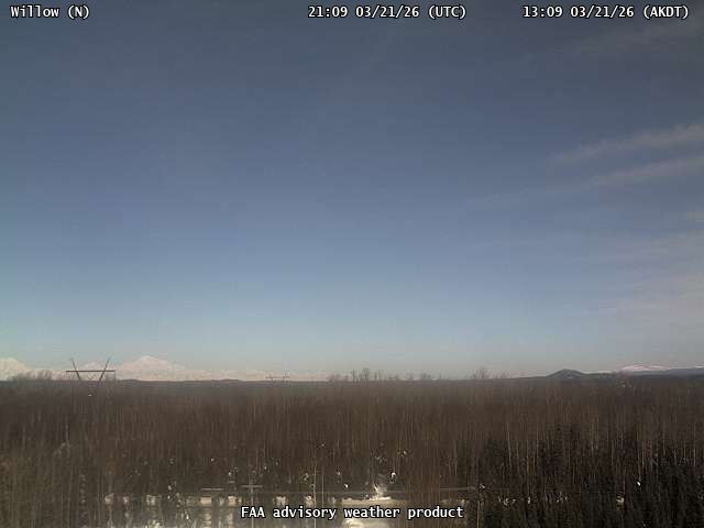 Willow — North live webcam