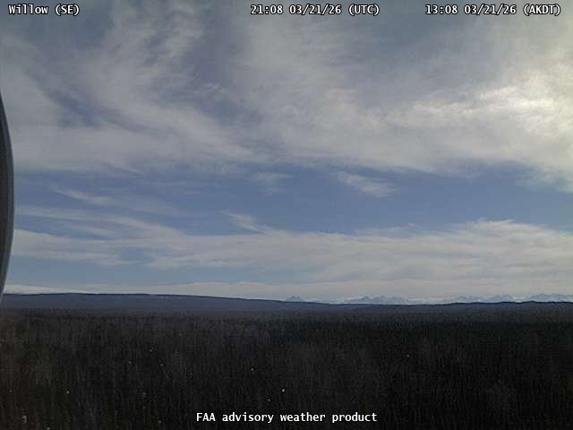 Willow — SouthEast live webcam