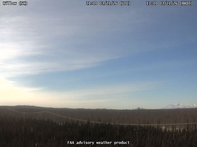 Willow — SouthWest live webcam