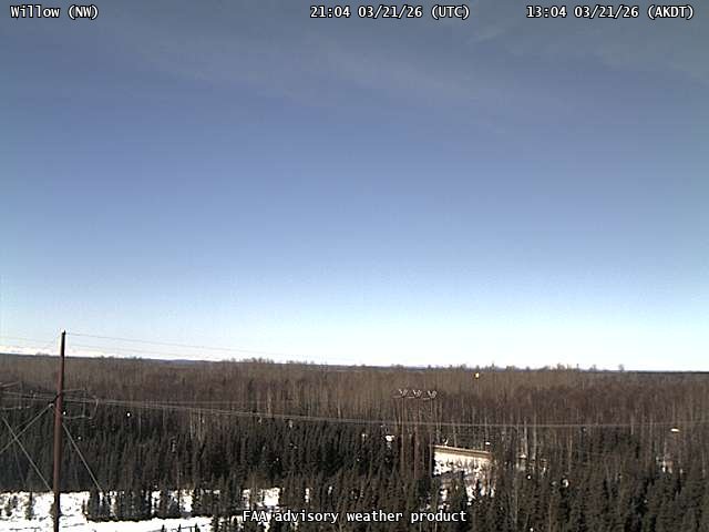 Willow — NorthWest live webcam