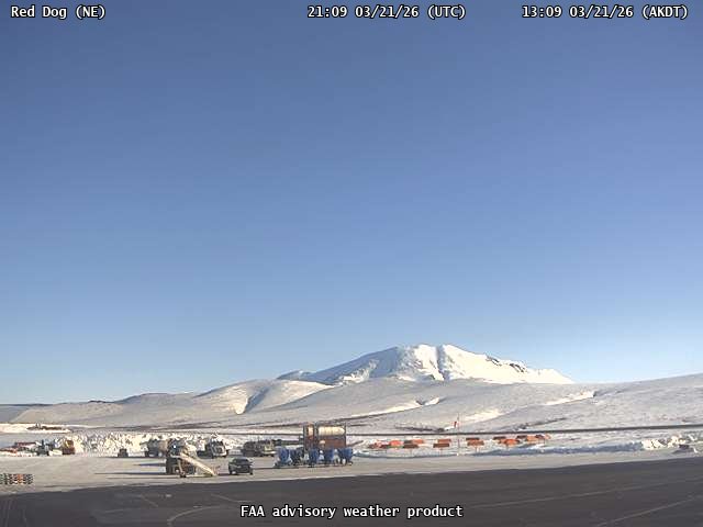 Red Dog — NorthEast live webcam