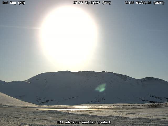 Red Dog — SouthEast live webcam