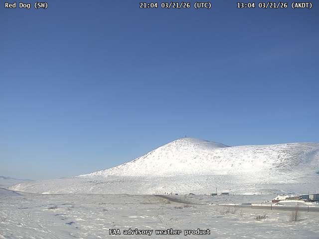 Red Dog — SouthWest live webcam