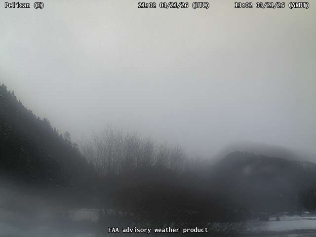 Pelican — East live webcam