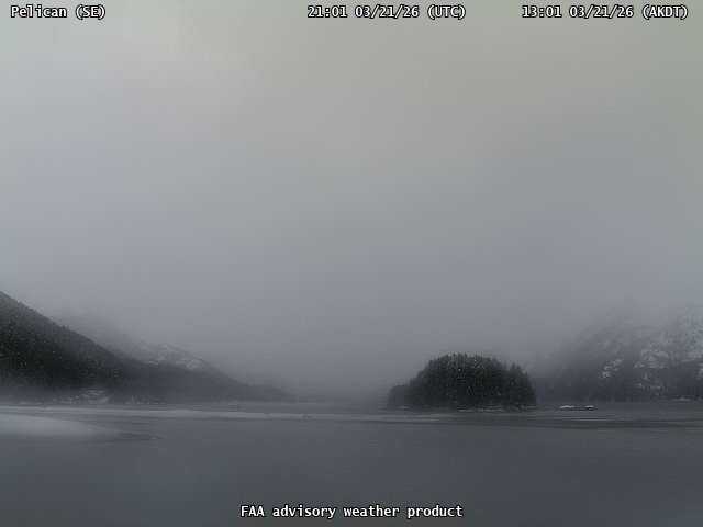 Pelican — SouthEast live webcam