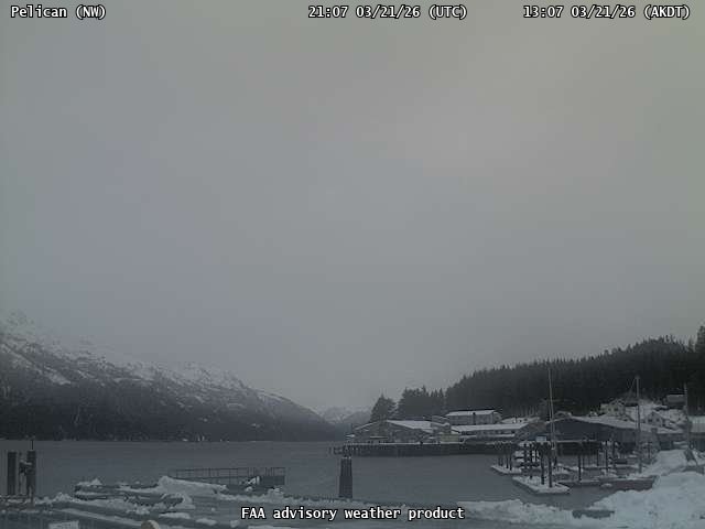 Pelican — NorthWest live webcam