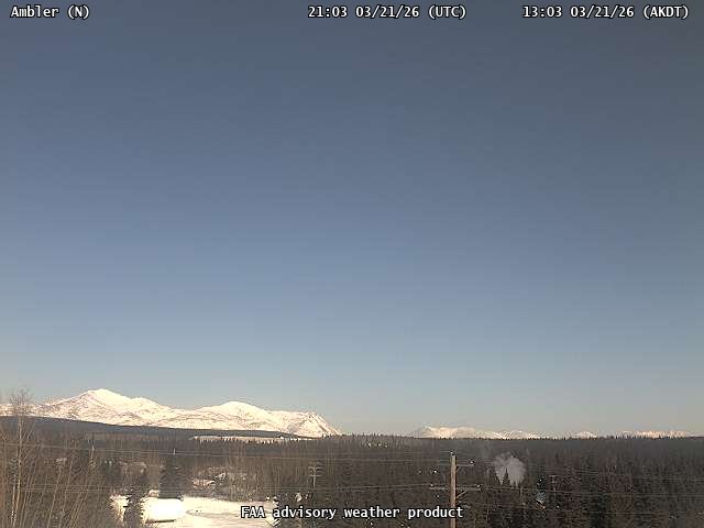 Ambler — North live webcam