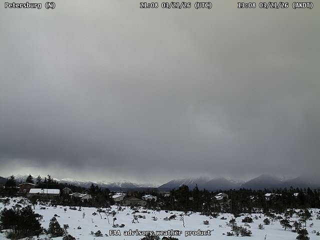 Petersburg — North live webcam