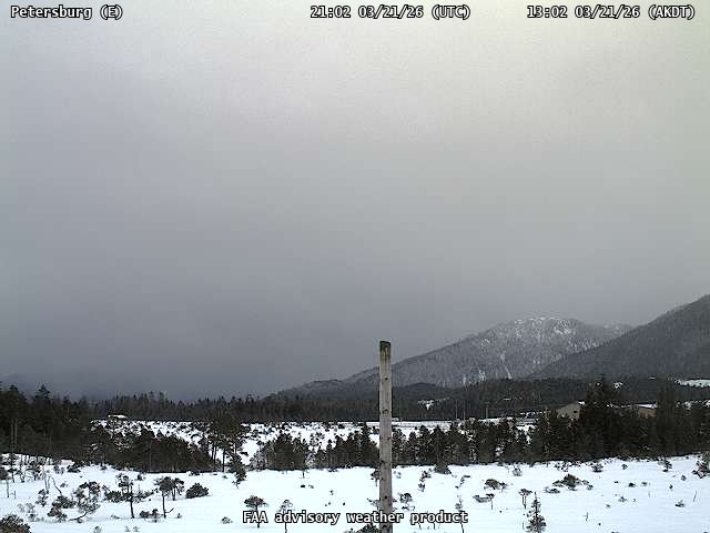 Petersburg — East live webcam
