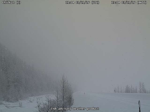 Chilkat — East live webcam