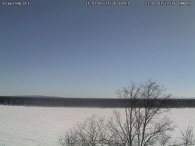 Grayling — East live webcam