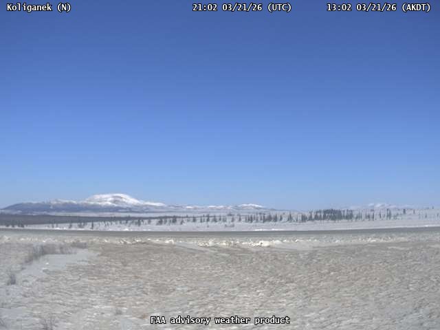 Koliganek — North live webcam