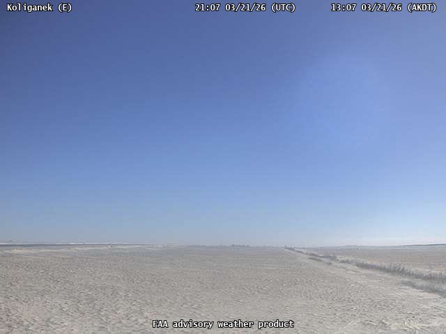 Koliganek — East live webcam