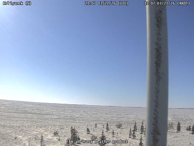 Koliganek — South live webcam