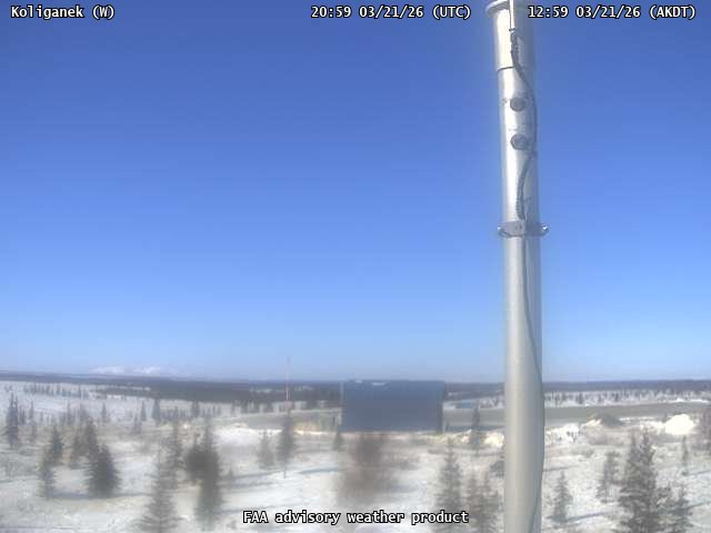 Koliganek — West live webcam