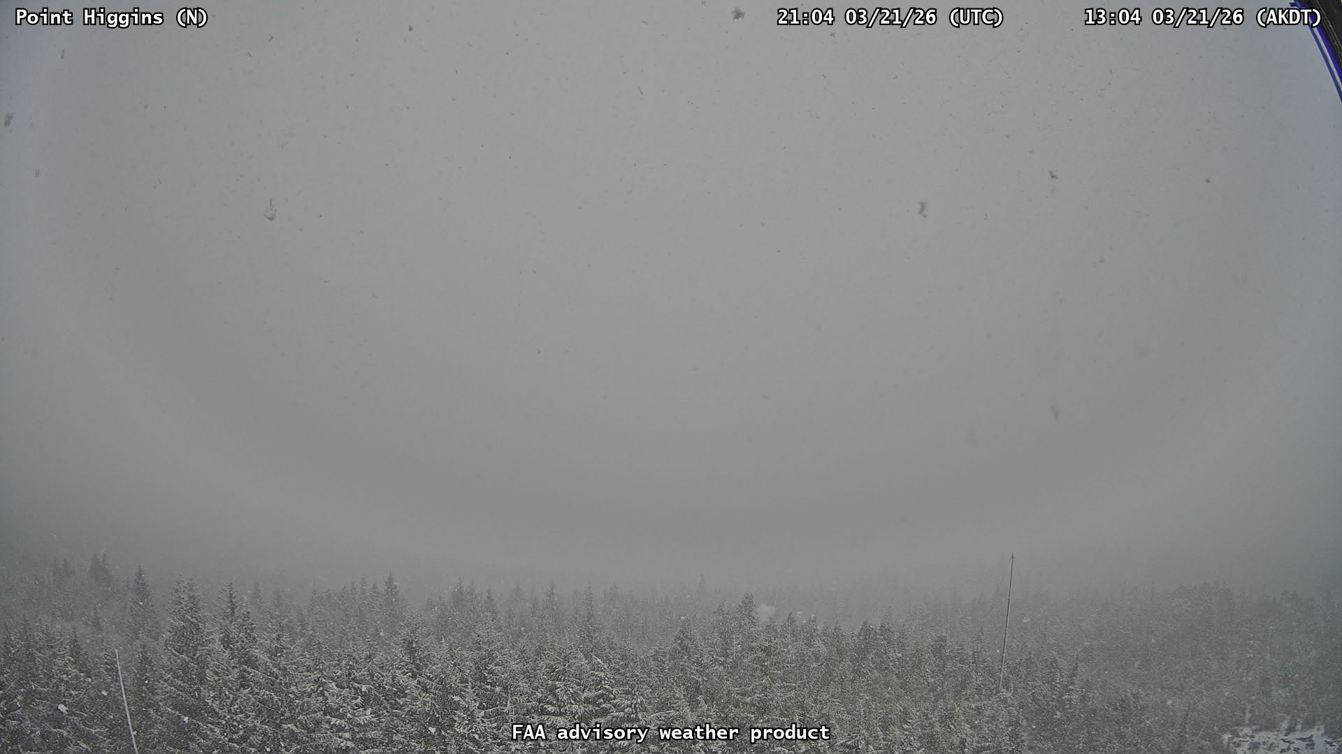 Point Higgins — North live webcam