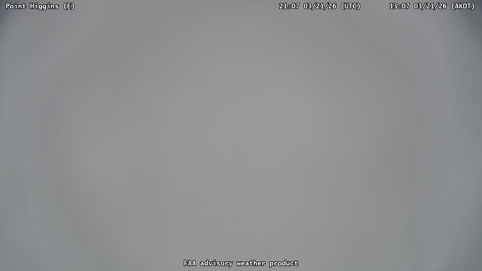 Point Higgins — East live webcam