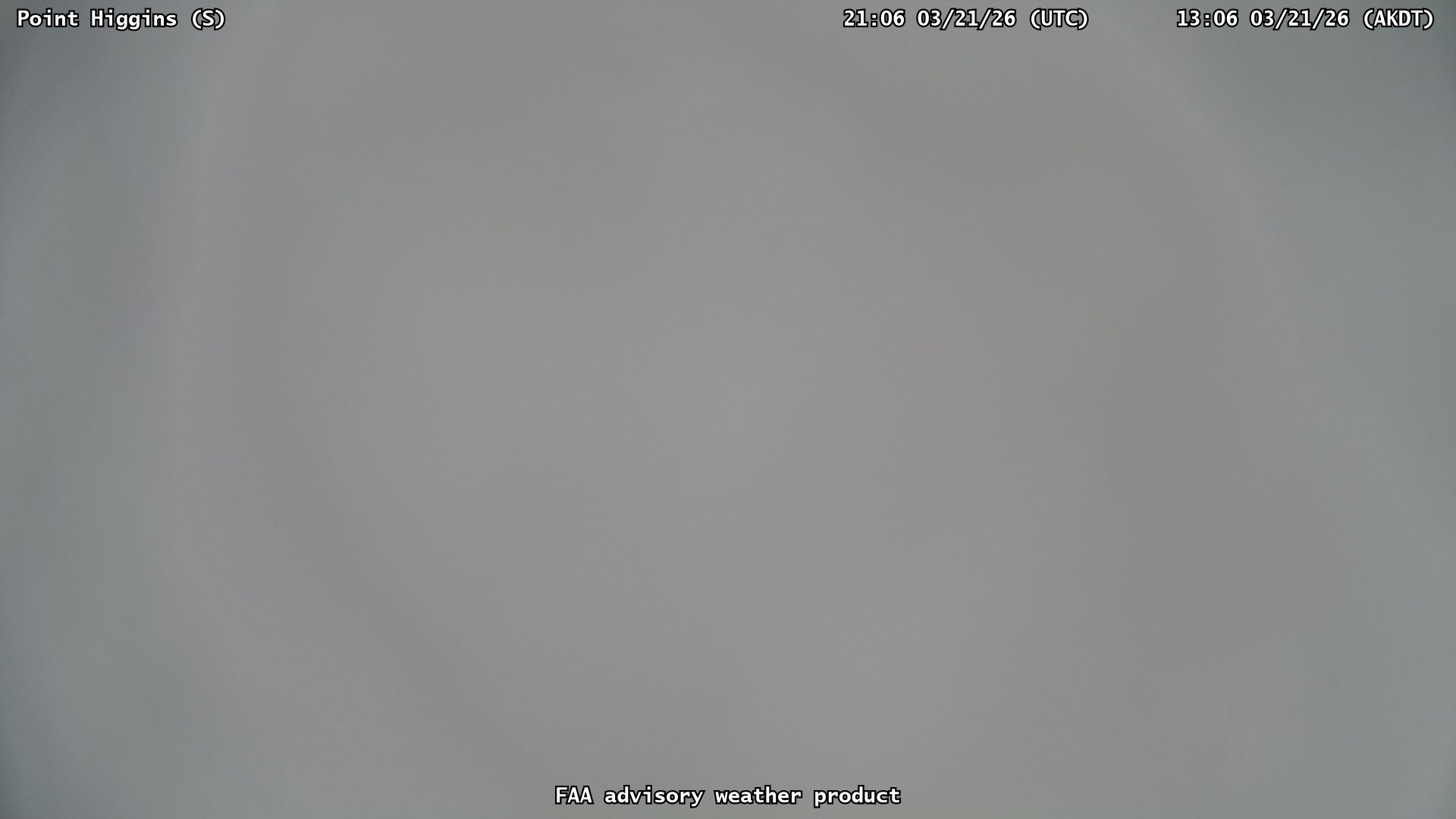 Point Higgins — South live webcam