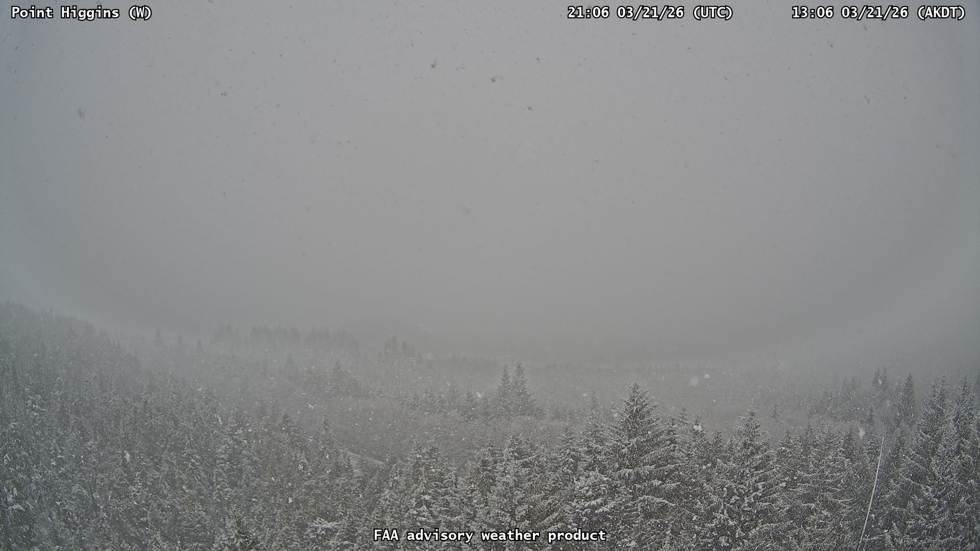 Point Higgins — West live webcam