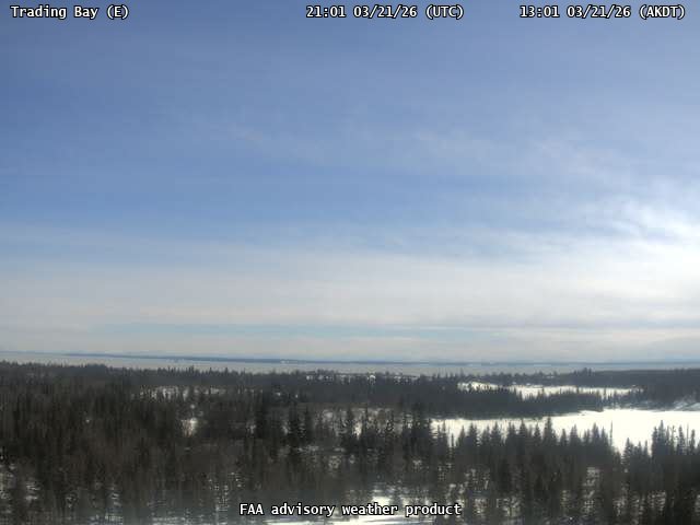 Trading Bay — East live webcam