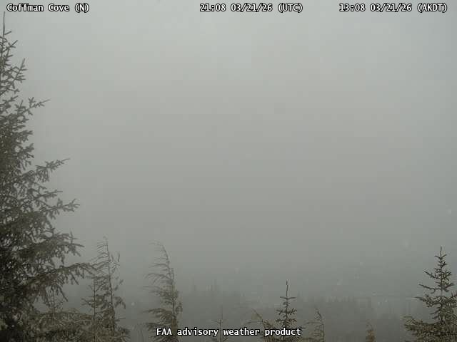 Coffman Cove — North live webcam