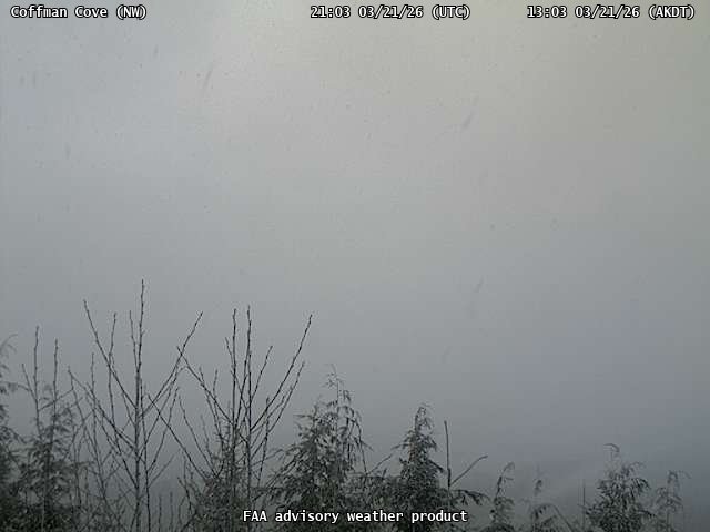 Coffman Cove — NorthWest live webcam