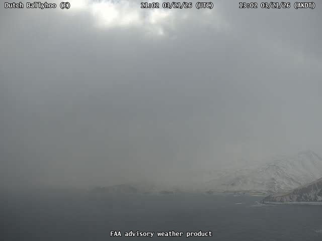 Dutch Ballyhoo — East live webcam