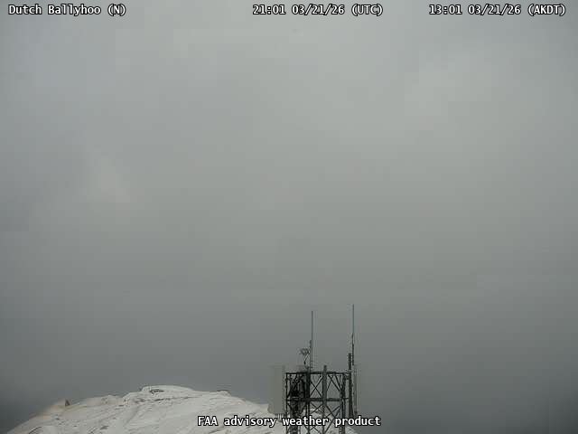 Dutch Ballyhoo — North live webcam