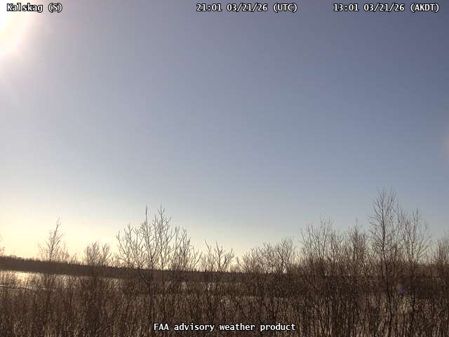 Kalskag — South live webcam