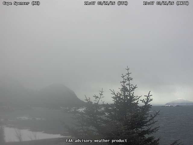 Cape Spencer — NorthEast live webcam