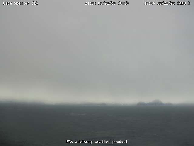 Cape Spencer — East live webcam