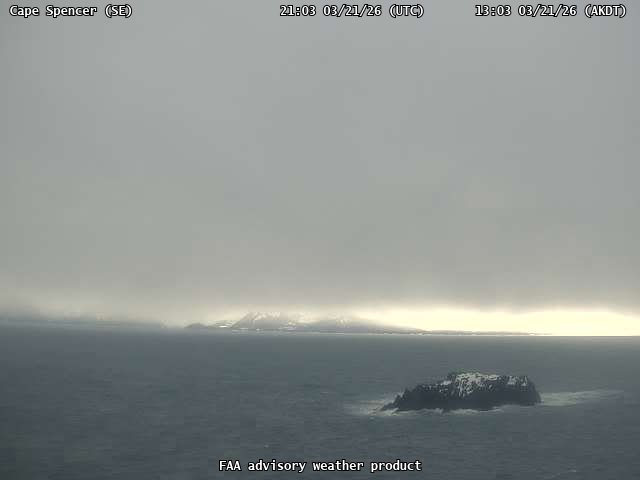 Cape Spencer — SouthEast live webcam