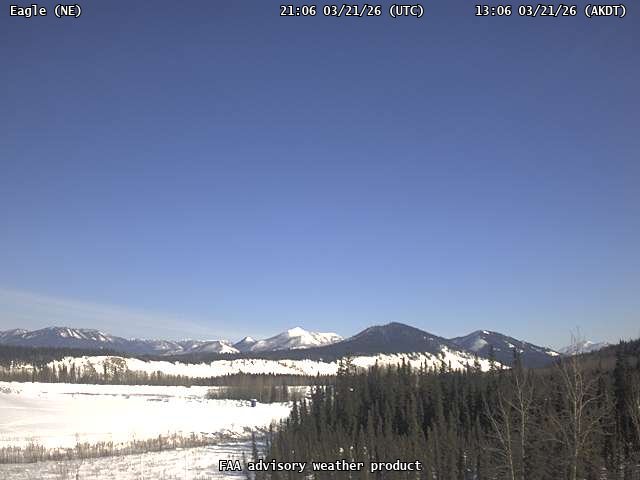 Eagle — NorthEast live webcam