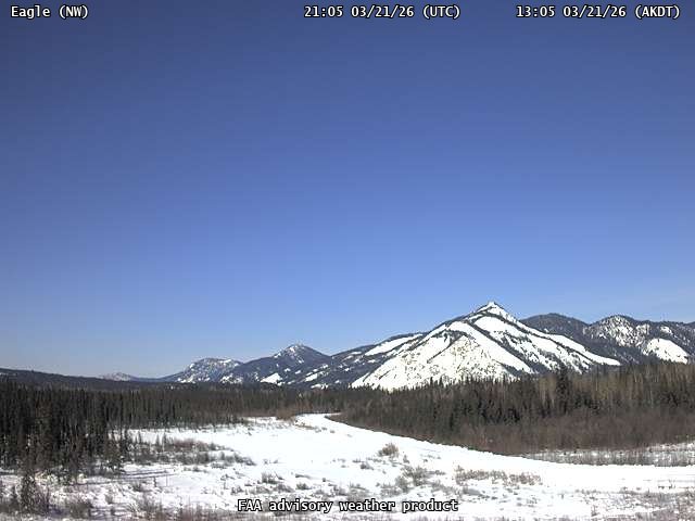 Eagle — NorthWest live webcam